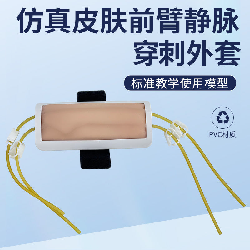 Forearm Venipuncture Training Model for Injection, Blood Transfusion, and Blood Draw
