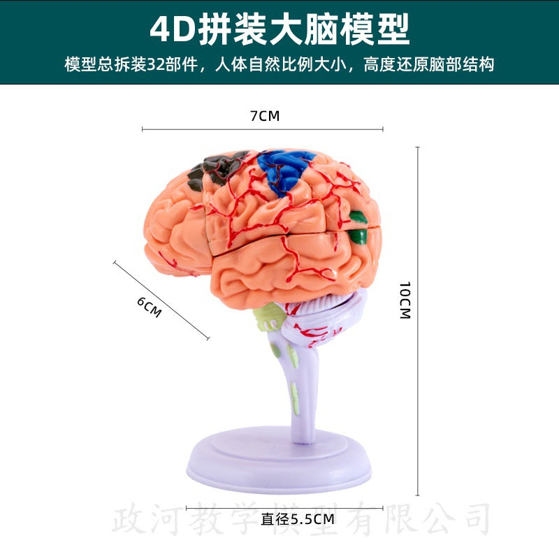4D Assembly Model