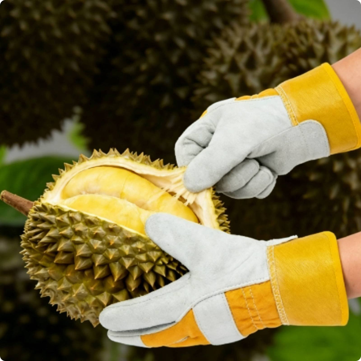 Durian Handling Gloves Thickened Sturdy Durian Gloves Heavy Duty for Home