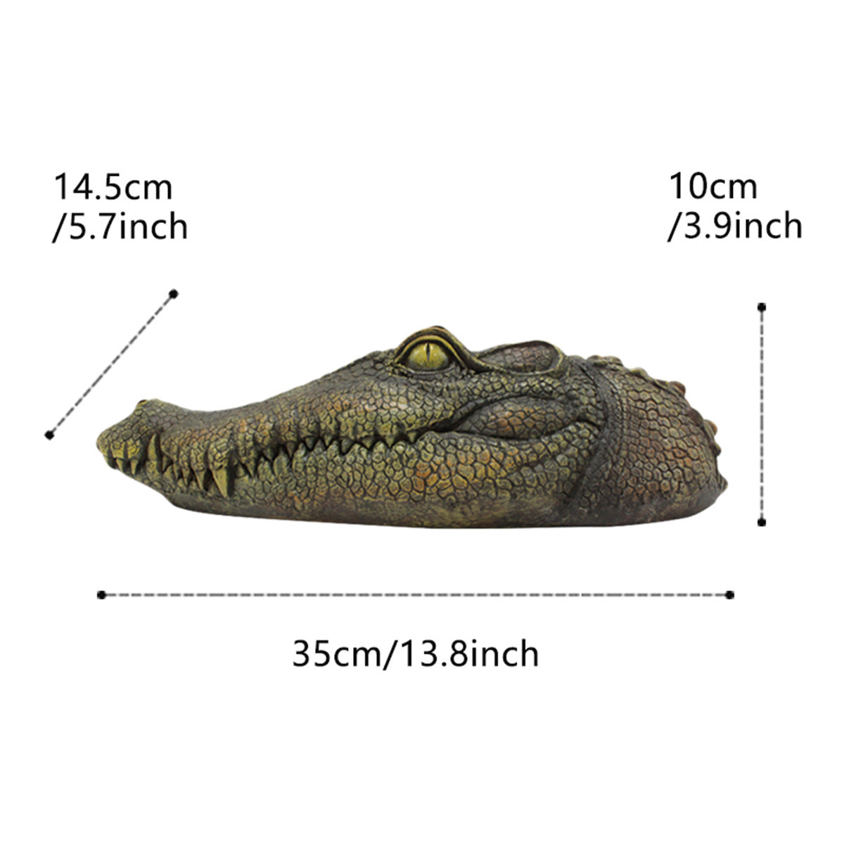 Floating Alligator