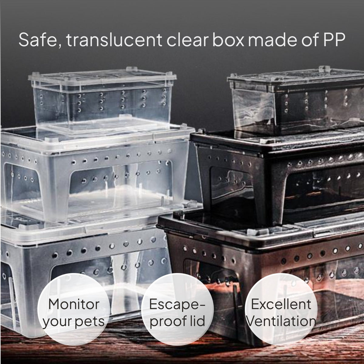 Amphibian Breeding Box Transparent Pet Enclosure with Lid