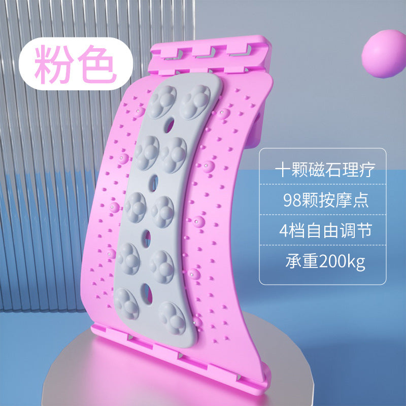 Plum Blossom Back B