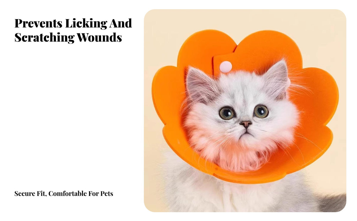 Flower Elizabethan Lightweight Flower Shape Pet C Single Easy to Easy to Maintain Gentle Elizabethan for Cats, Small Dogs, Post-Surgery Recovery