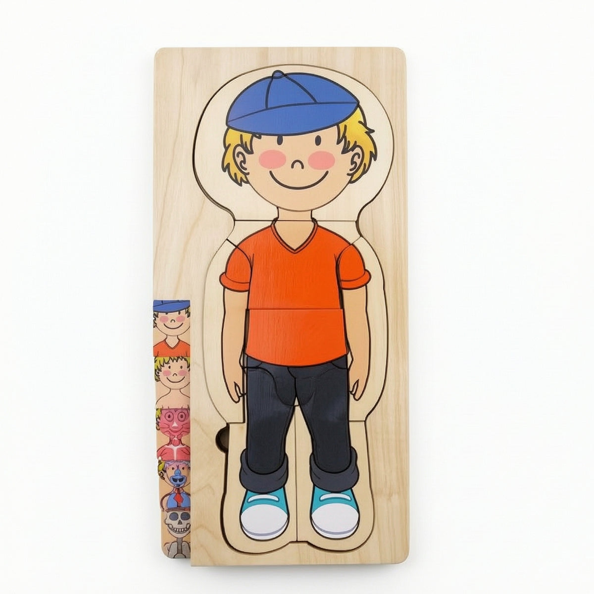 Bodily Systems Puzzle Burr Human Body Puzzle Engaging Toy for Classroom
