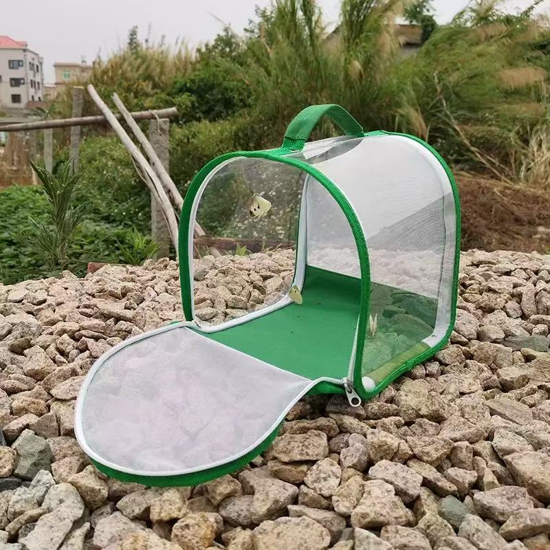 360-Degree Transparent Insect Observation Cage, Foldable and Portable