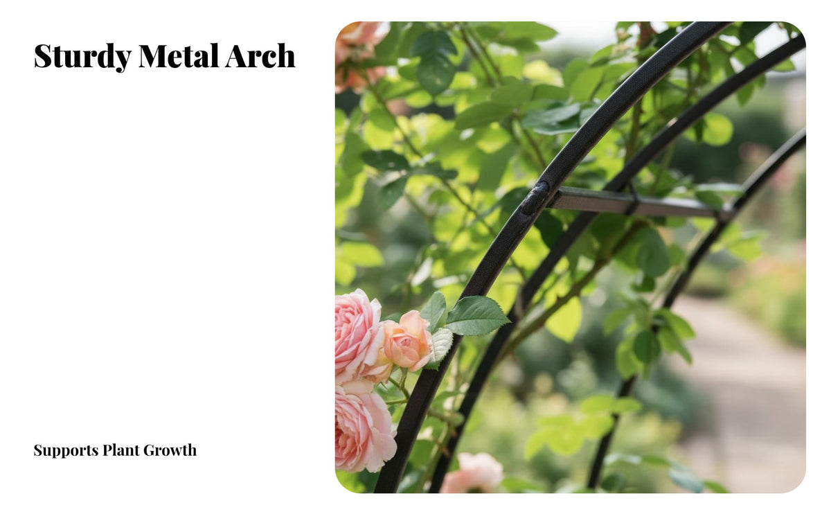 Reinforced Design Wrought Iron Flower Arch Long-Lasting Metal Garden Arch Multi-Purpose Climbing Plant Archway Weather-Resistant for Gardeners, Event Planners, Pathway, Backyard, Patio, Balcony