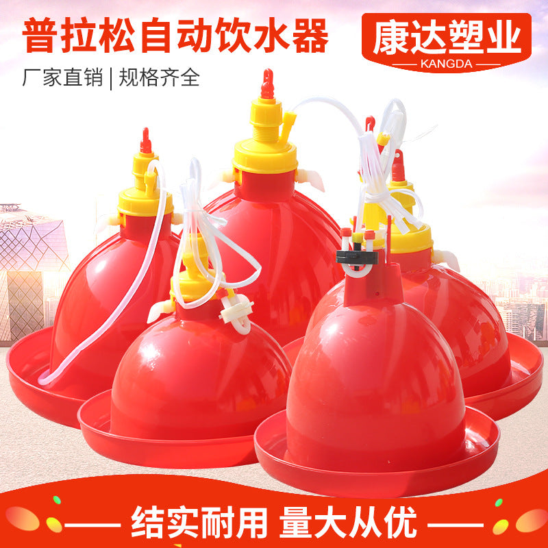 Automatic Poultry Waterer for Chickens, Ducks, and Geese