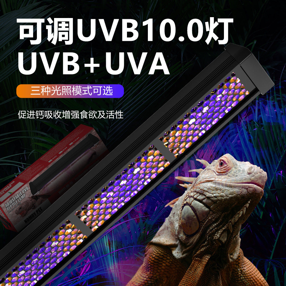 Reptile UVB 10.0 Basking Light Bar, 4W/8W/12W, DC12V, US Plug