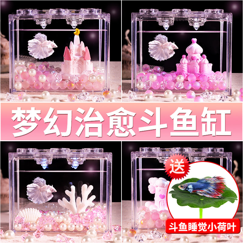 斗鱼专用鱼缸亚克力小型桌面观赏家用创意生态积木盒造景装饰全套 中号高透【缸+梦幻紫珊瑚套餐】