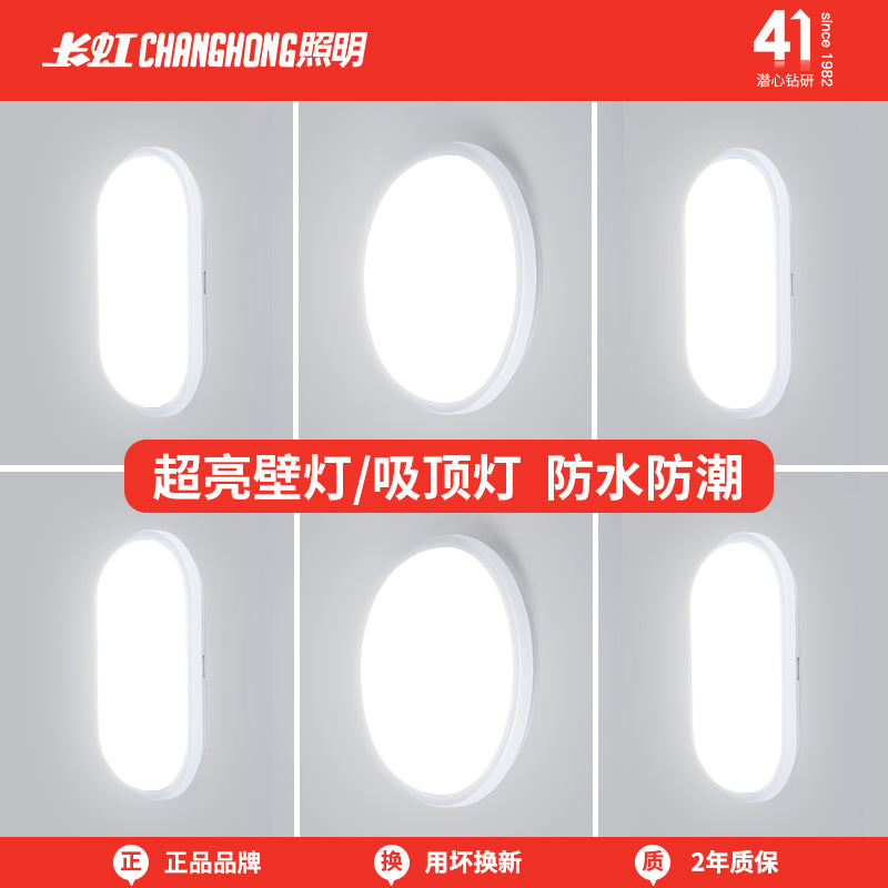 长虹照明led壁灯楼梯走廊过道户外防水阳台简约厕所卫生间吸顶灯 IP65防水 大圆 24W白光