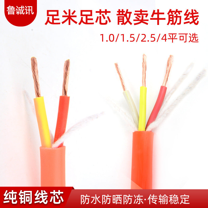 National Standard PVC Insulated Copper Core Cable for Home and Outdoor Use - 2-Core, 3-Core, Anti-freeze Power Wire