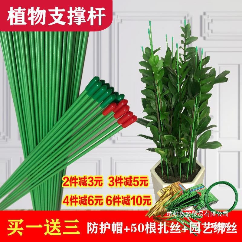 Plant Support Stakes for Potted Plants, Garden Flower Support Rods, Balcony Plant Stands, 10-Pack