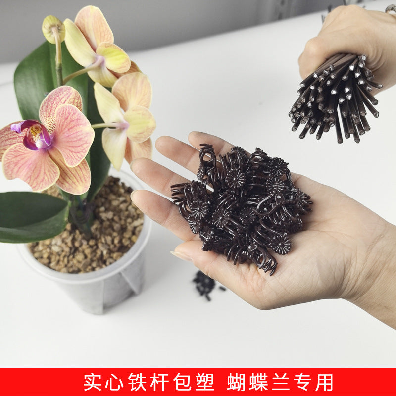 Phalaenopsis Orchid Support Stakes with Clips and Protective Caps - Plant Fixing Rods for Flower Stems