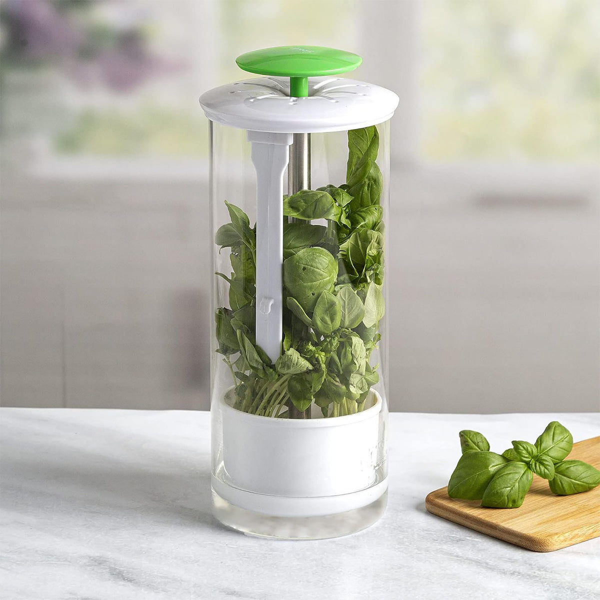Plastic Herb Keeper for Freshness