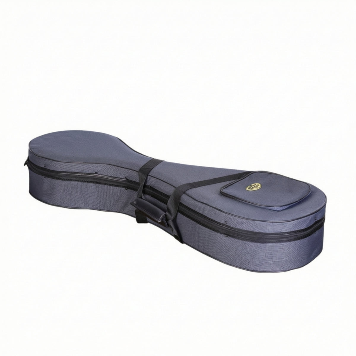 Chinese lute Carrying Case Lightweight Chinese lute Case Padded for Rehearsals