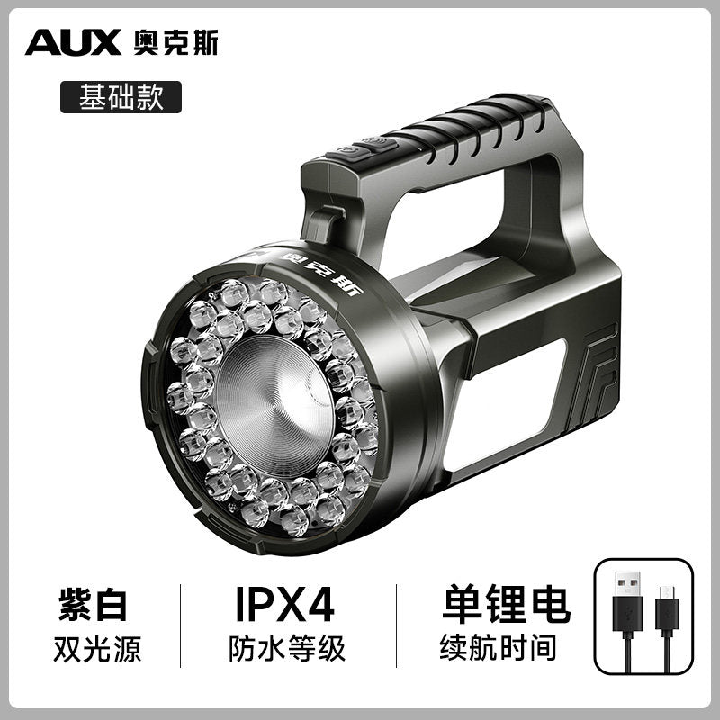 Standard Dual Light