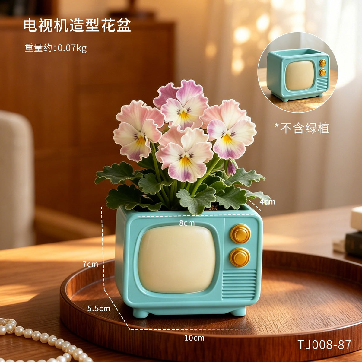 Television
