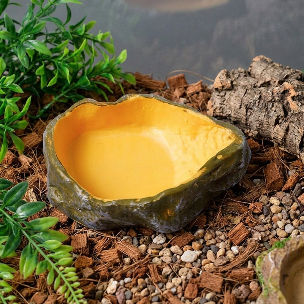 Impact Resistant Bowl Tortoise Water Bowl, Reptile Water Dish Food Bowl, Snake Accessories for Vivarium, Shallow XS DOUBLE-DUTY Dish 2.3cm