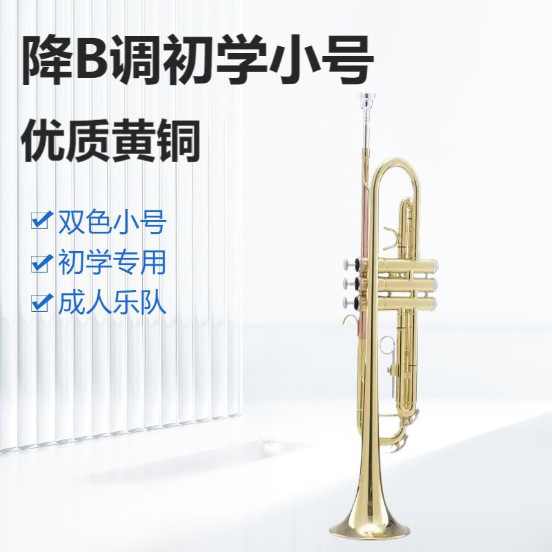 Bb Trumpet pyxh001 Student Beginner Professional Brass Instrument
