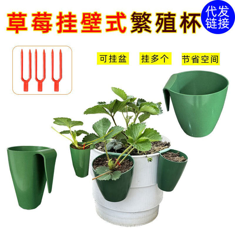 Planting Strawberry Propagation Box with Rooting Cups for Runners, Floor-Standing Flower Pot
