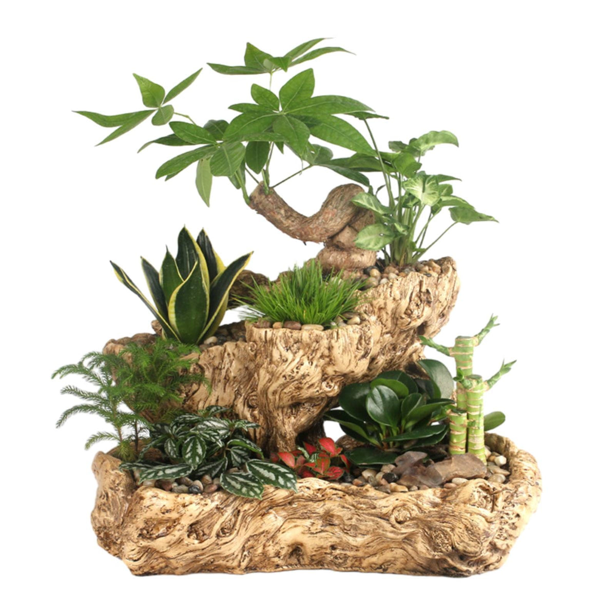 Gnarled Base Planter Carved Imitation Wood Planter Tabletop Pot for Office Desk
