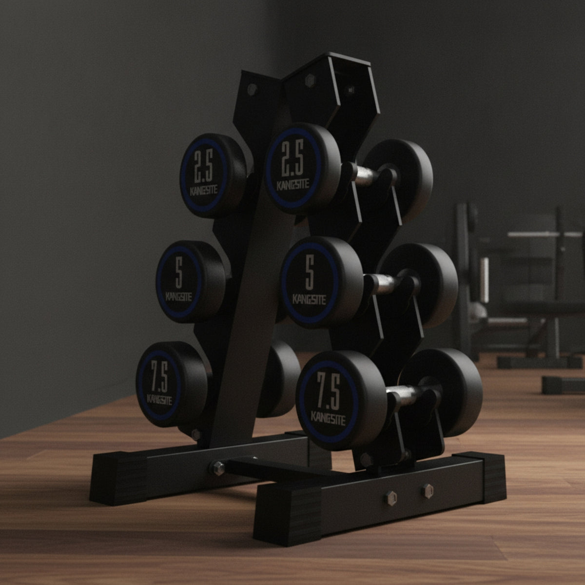Dumbbell Stand Freestanding Weight Storage Rack Compact for Home Gym