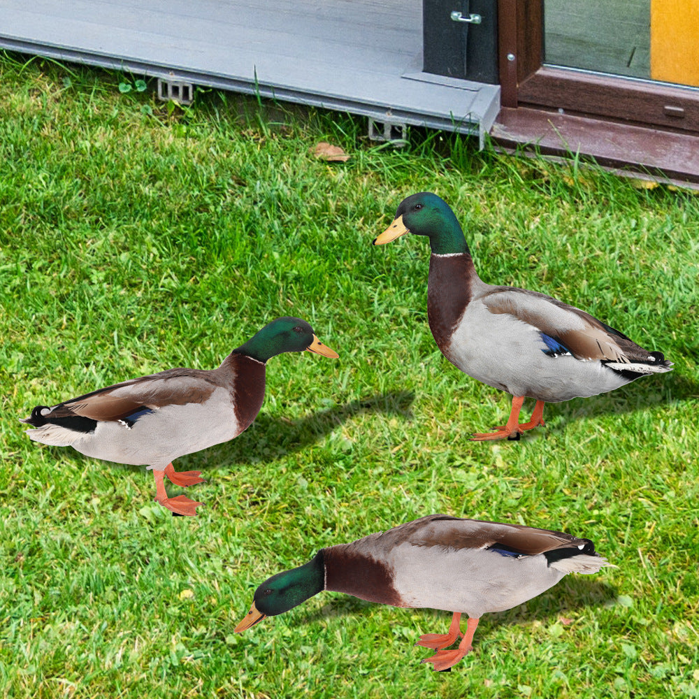 3mm Acrylic Double-Sided Printed Duck Yard Art Mirror Wall Sticker