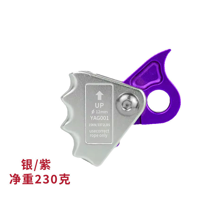 Silver Purple