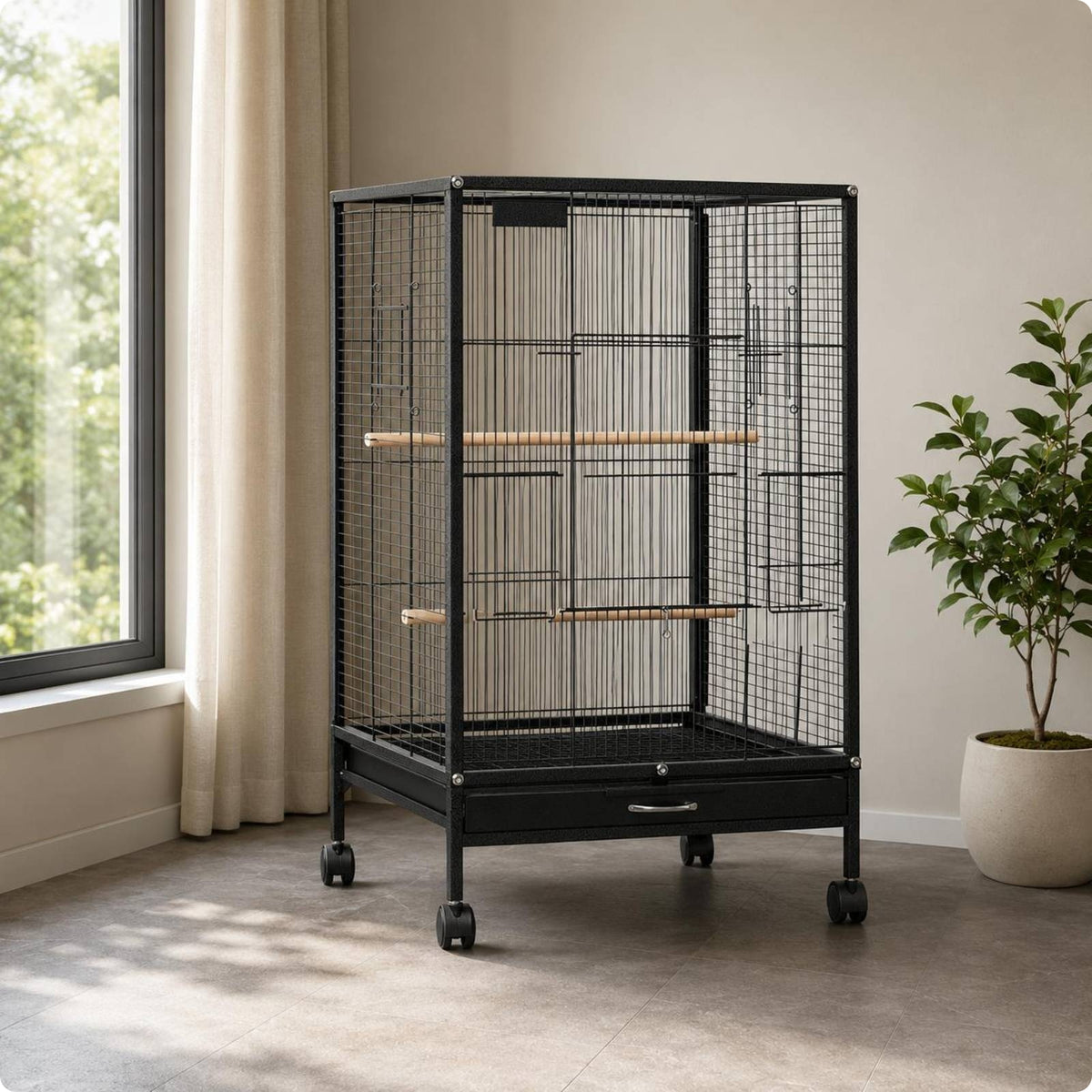 Metal Bird Enclosure Wooden Perches Wire Bird Enclosure Food Boxes