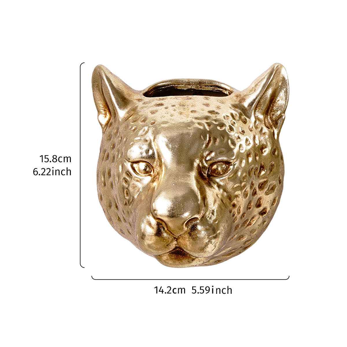 Leopard Head Wall