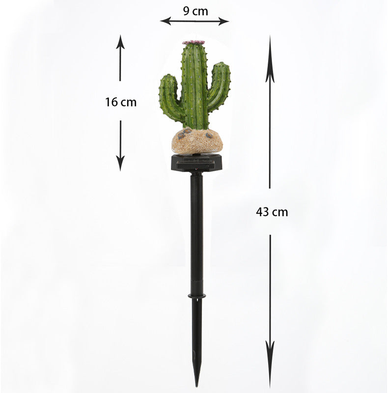 Cactus
