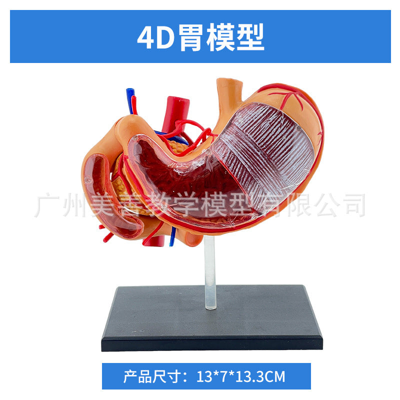 Mini 4D Assembly