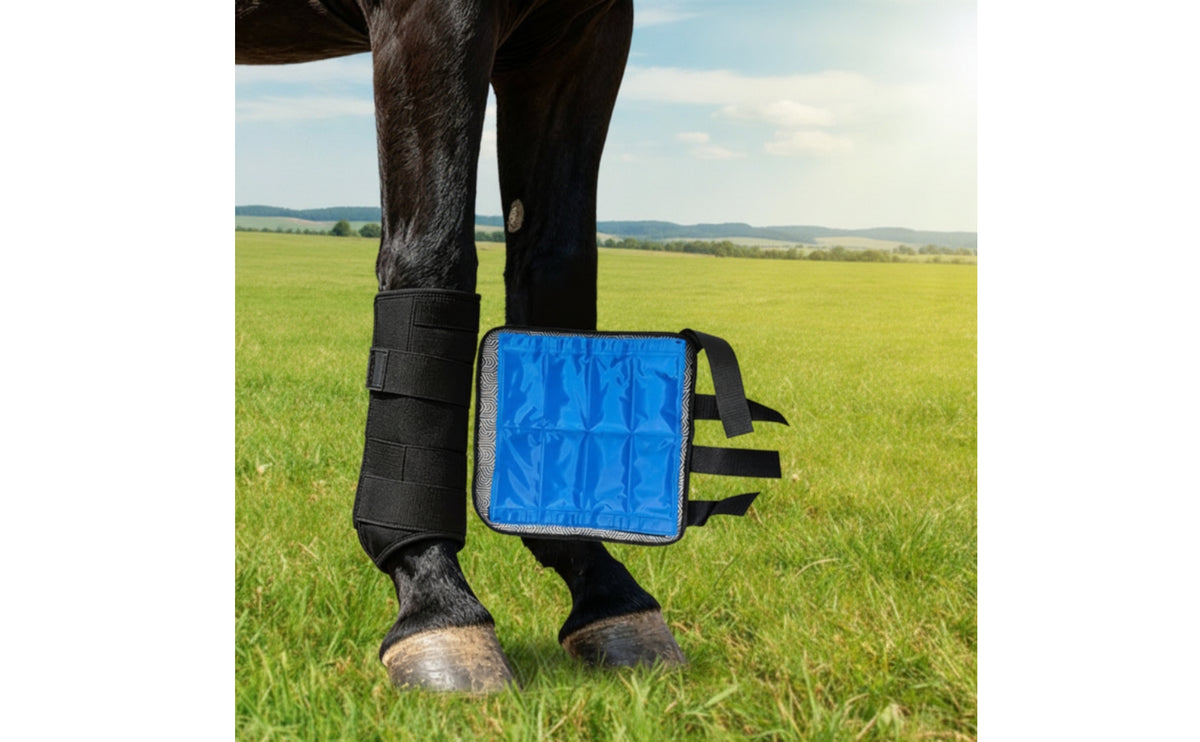 Horse Leg Wrap with Ice Pack Cooling Horse Ice Pack Wrap Therapeutic Cold Compress Wrap for Horses, Training Recovery, Stable Management, Transport