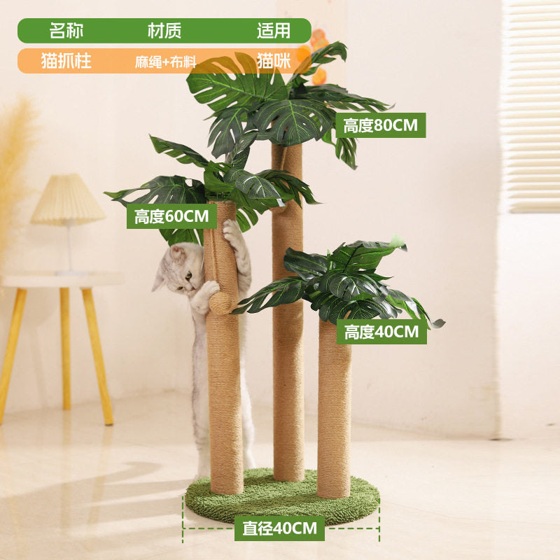 Monstera