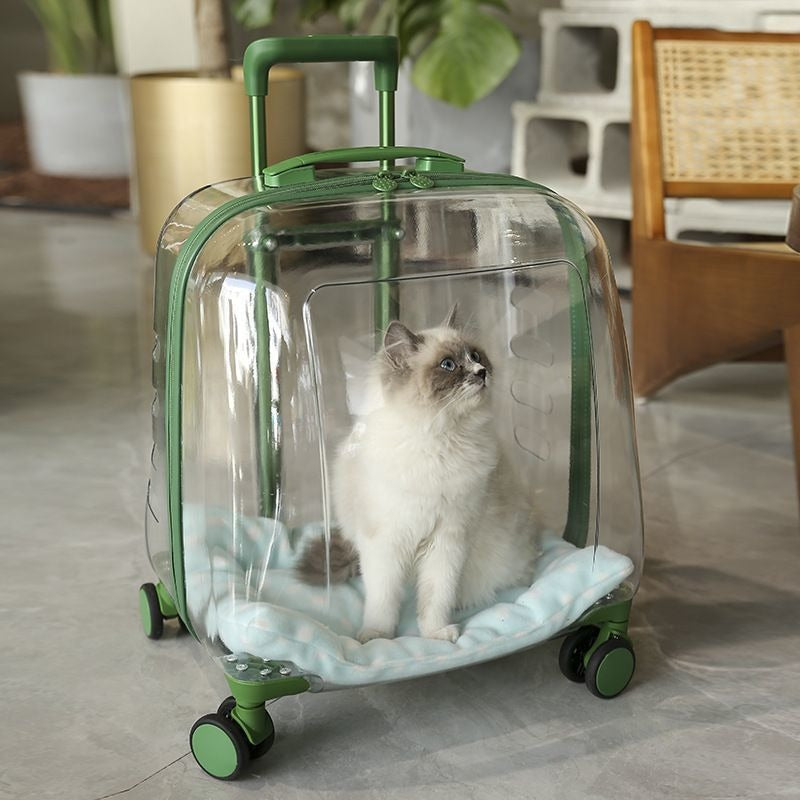 Outdoor Lightweight Pet Trolley Cat Luggage with Transparent Space Capsule