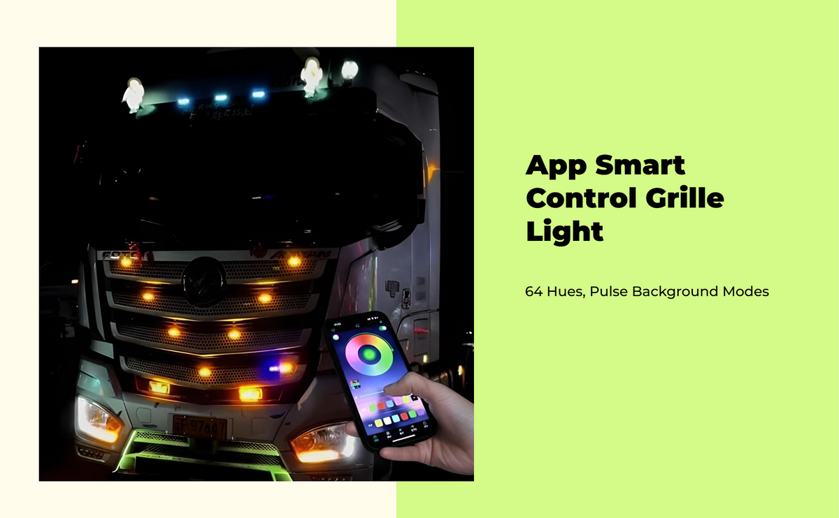 APP RGB car grille light