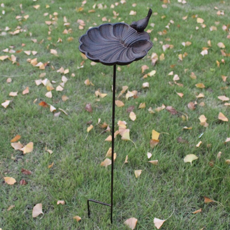 Bird Shell