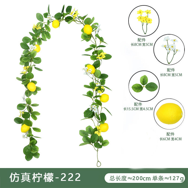 Lemon Vine 222