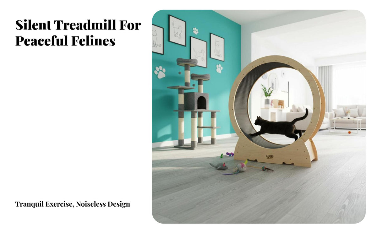 noiseless Operation feline sprintning Wheel Sturdy Construction feline Exercise Wheel Stable Base Feline Fitness Device pawsafe Surface for People with Indoor felines, Indoors, Living Room, Bedroom, Home