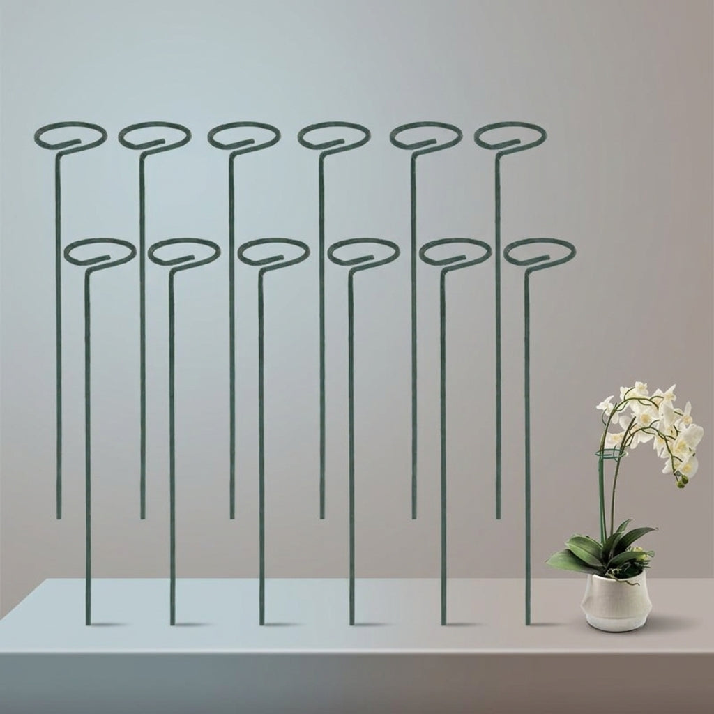 Outdoor Plants Metal Garden Stake for Plant Support, Heavy Duty Single Ring Stakes for Climbing Plants, 6.5x40cm Indoor Plant Support, 3.0mm