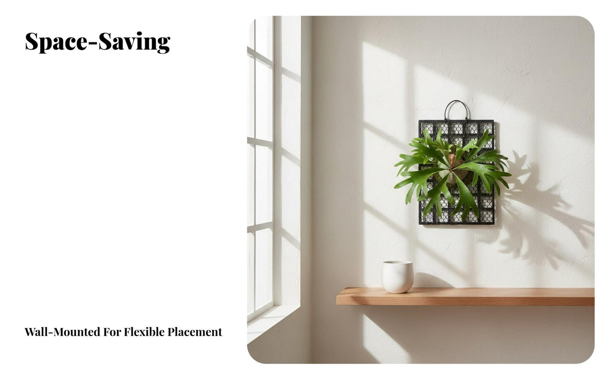 Thickened and Long-Lasting Staghorn Fern Board Stylish Black Finish Staghorn Fern Mount Easy Installation Epiphytic Plant Mounting Plaque Space-Saving for Gardeners, Home Decorators, Indoor, Greenhouse, Balcony, Living Room