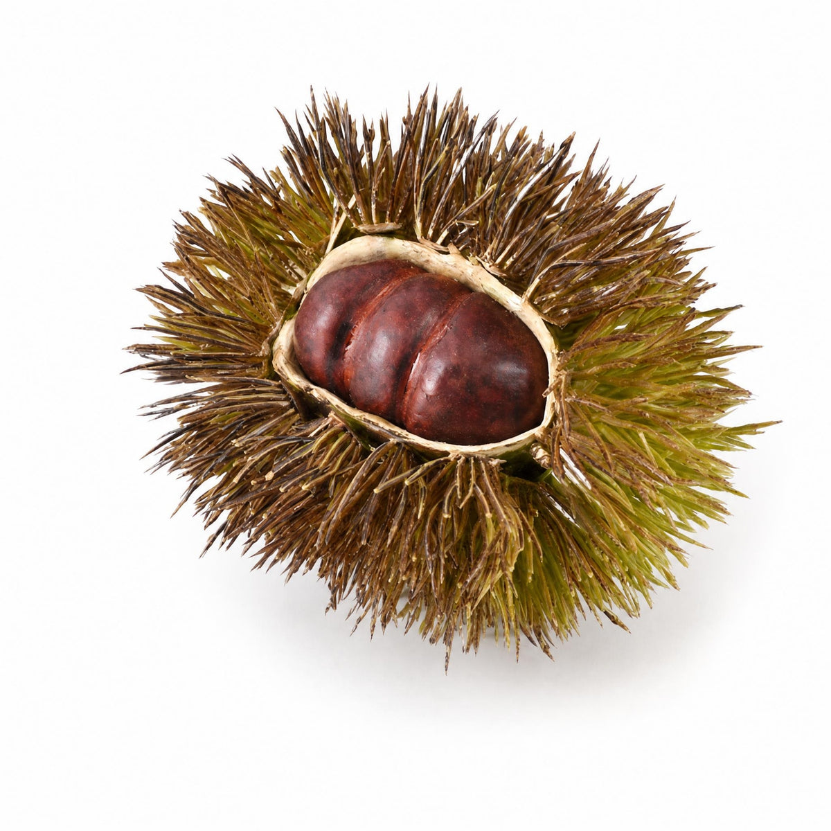 Chestnut Husk Ornament Plastic Artificial Chestnut Small