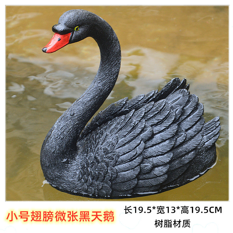 S / Black Wings Open