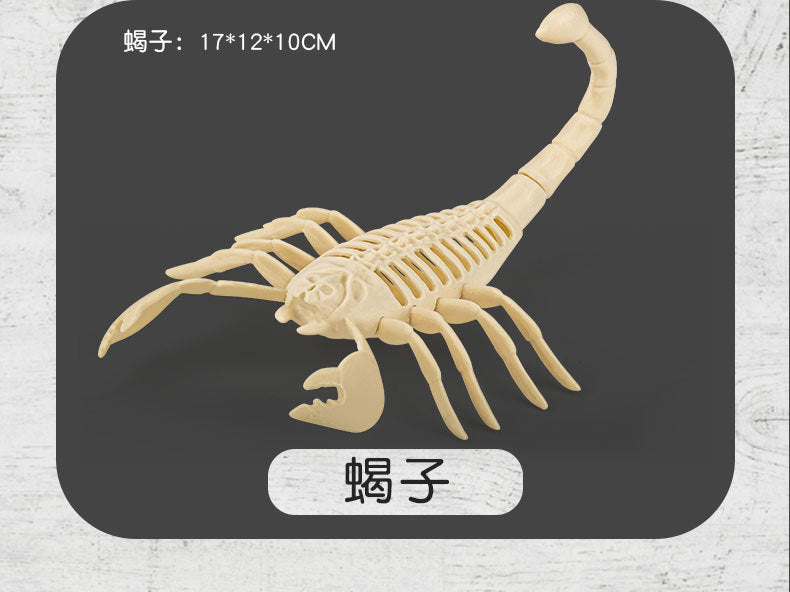Archaeological Skeleton Assembly Model Dinosaur Scorpion Spider Creature DIY Craft Blind Box for Kids