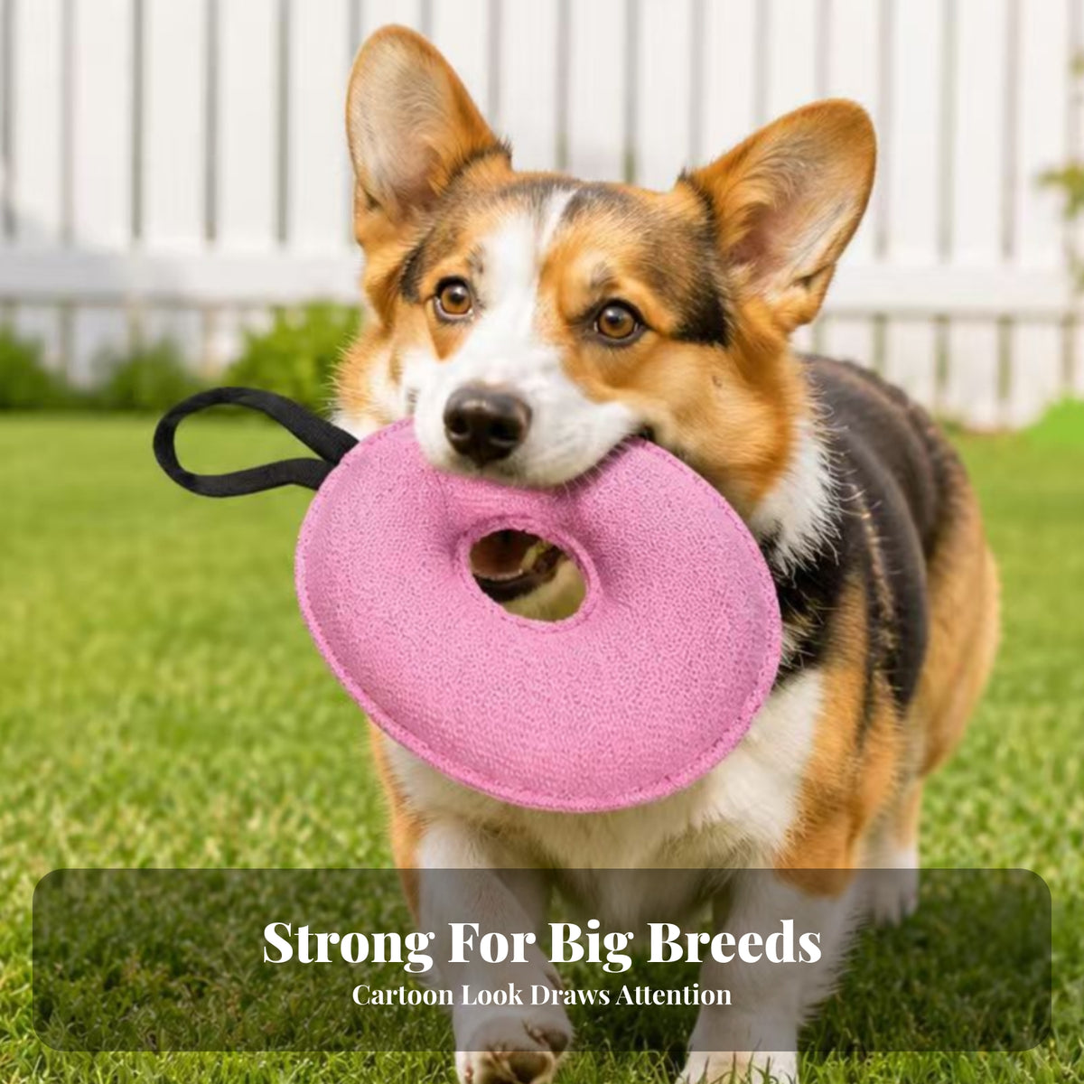 O-Shaped Pet Toy Textile Pet Plaything Easy Grip