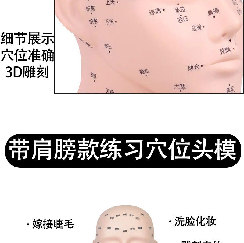 Mannequin Head for Beauty Salon, Face Acupoint Massage Practice Model