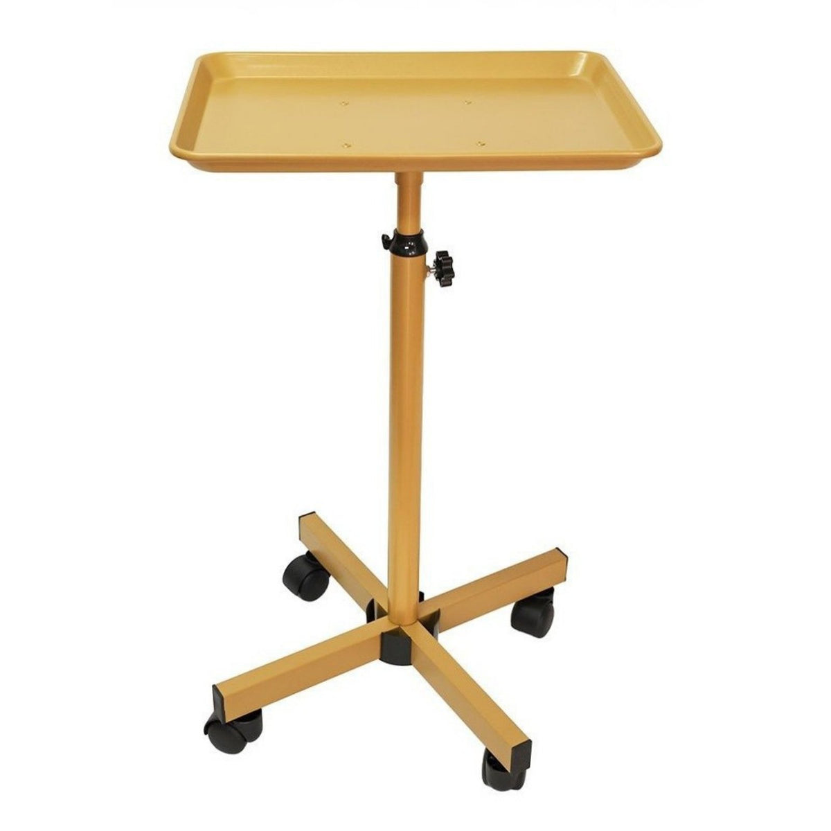 Height Adjustable Salon Tray Stable Base Mobile Beauty Trolley Tray Easy to Clean for Beauticians