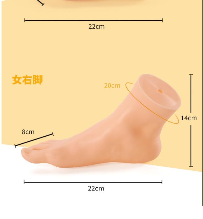 Female Right Foot