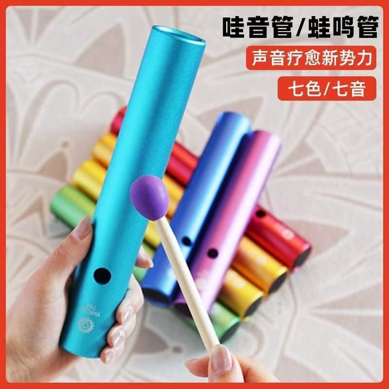 Rainbow Frog Guiro Percussion Instrument
