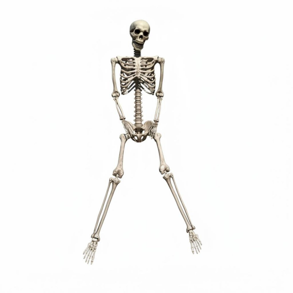 Full Body Skeleton Decoration Easy to Hang Hanging Skeleton Ornament for Yard